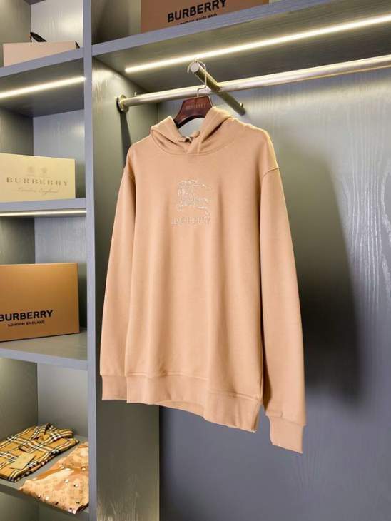 Picture of Burberry Hoodies _SKUBurberryS-2XLaztx87761851